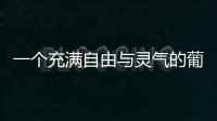 一個充滿自由與靈氣的葡萄酒產區——索諾瑪