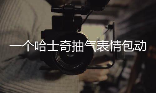 一個哈士奇抽氣表情包動態(哈士奇抽搐的表情包)