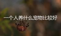 一個(gè)人養(yǎng)什么寵物比較好(一個(gè)人養(yǎng)什么寵物都養(yǎng)死了好嗎)