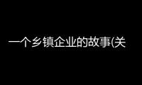 一個鄉(xiāng)鎮(zhèn)企業(yè)的故事(關(guān)于一個鄉(xiāng)鎮(zhèn)企業(yè)的故事簡述)