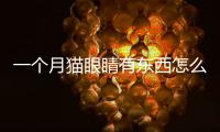一個月貓眼睛有東西怎么辦吃什么藥好(一個月幼貓眼睛有白色粘稠物)