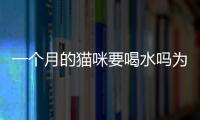 一個月的貓咪要喝水嗎為什么？一個月的貓咪需要喝水嗎
