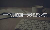 一個(gè)月的貓一天吃多少東西怎么辦啊圖片？一個(gè)月大貓一天吃多少