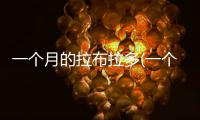 一個月的拉布拉多(一個月大的拉布拉多吃多少)