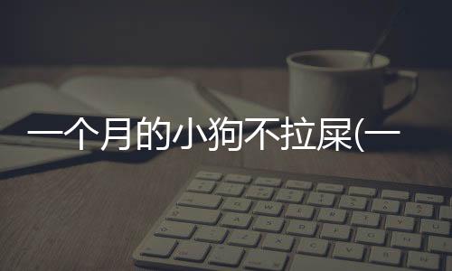 一個月的小狗不拉屎(一個月小狗不拉屎怎么回事)