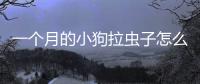 一個月的小狗拉蟲子怎么辦(一個月大的小狗吐蟲子了怎么辦)