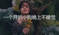 一個月的小狗晚上不睡覺(小狗晚上不睡覺咋辦)