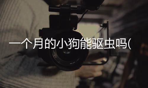 一個月的小狗能驅蟲嗎(一個月的小狗怎么喂養)