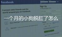一個月的小狗脫肛了怎么辦？一個月的小狗脫肛了是什么原因造成的?