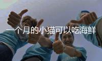 一個月的小貓可以吃海鮮嗎怎么喂(一個月的小貓能吃)