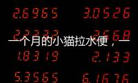 一個月的小貓拉水便，一個月的小貓拉水怎么回事