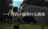 一個月的小貓有什么病毒(一個月的小貓該吃什么)