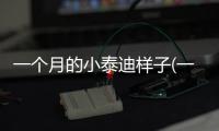 一個月的小泰迪樣子(一個月泰迪洗澡了怎么辦)