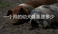 一個(gè)月的幼犬體重是多少斤正常，一個(gè)月的小狗體重多少斤正常