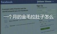 一個月的金毛拉肚子怎么辦？一個多月的金毛拉肚子還有點血怎么辦
