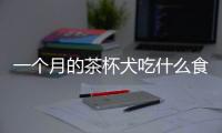 一個月的茶杯犬吃什么食物(茶杯犬一個月有多重)