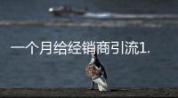 一個月給經銷商引流1.5萬客戶，會是泛家居廠商合作標配嗎