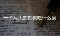 一個月大的狗狗吃什么食物好(一個月多的狗狗能吃什么)