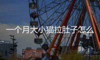 一個月大小貓拉肚子怎么辦啊？一個月的小貓拉肚子怎么回事
