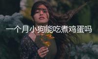 一個月小狗能吃煮雞蛋嗎(小狗能吃煮雞蛋不)