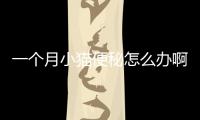一個月小貓便秘怎么辦啊？一個半月小貓便秘怎么辦