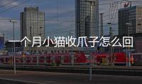 一個(gè)月小貓收爪子怎么回事？一個(gè)月小貓收爪子正常嗎
