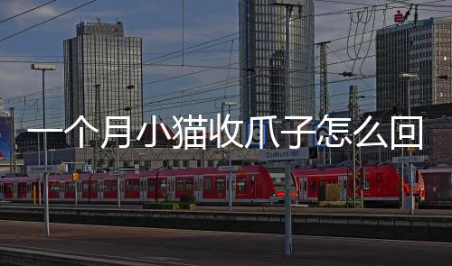 一個(gè)月小貓收爪子怎么回事？一個(gè)月小貓收爪子正常嗎