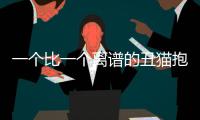 一個比一個離譜的丑貓抱枕，突然火爆！網(wǎng)友：不丑給差評？