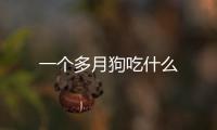 一個多月狗吃什么