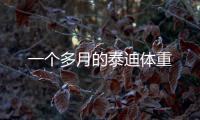 一個多月的泰迪體重