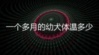 一個多月的幼犬體溫多少正常體溫呢(一個月的小狗的溫度是多少)