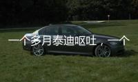 一個多月泰迪嘔吐，一個月的泰迪吐黃水怎么辦