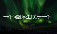一個問題學生(關于一個問題學生簡述)