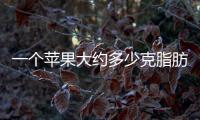 一個蘋果大約多少克脂肪（一個蘋果大約多少克）