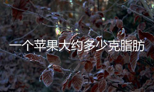 一個蘋果大約多少克脂肪（一個蘋果大約多少克）