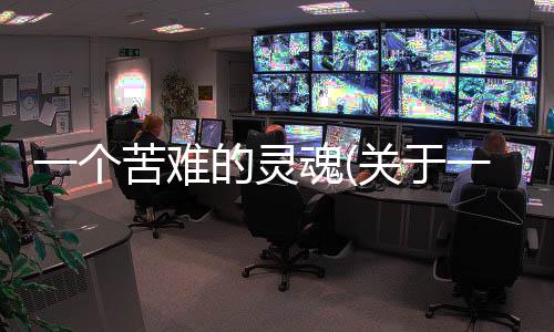 一個苦難的靈魂(關(guān)于一個苦難的靈魂簡述)