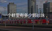 一個(gè)蚌里有多少顆珍珠，怎么看一個(gè)蚌里的珍珠是否值錢