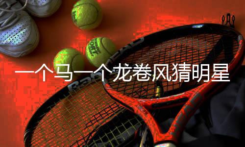 一個(gè)馬一個(gè)龍卷風(fēng)猜明星 雅思口語一個(gè)明星范文