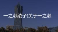一之瀨綾子(關(guān)于一之瀨綾子簡述)