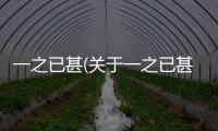 一之已甚(關于一之已甚簡述)