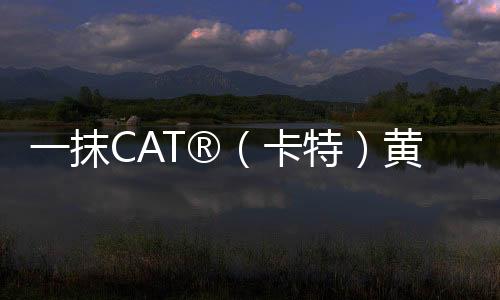 一抹CAT?(卡特)黃,天涯共此時