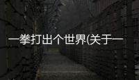 一拳打出個世界(關(guān)于一拳打出個世界簡述)