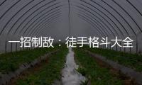 一招制敵：徒手格斗大全(關于一招制敵：徒手格斗大全簡述)