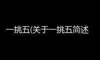 一挑五(關于一挑五簡述)