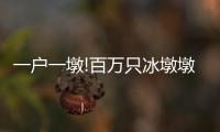 一戶一墩!百萬只冰墩墩到貨啦 冰墩墩多少錢一個