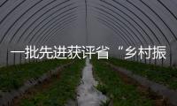 一批先進獲評省“鄉村振興巾幗行動”雙百典型