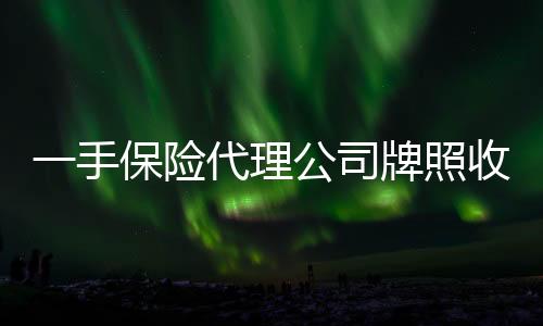 一手保險代理公司牌照收購價格信息