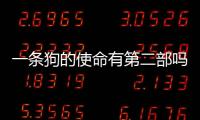 一條狗的使命有第二部嗎？一條狗的使命續集什么時候拍？