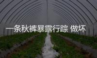一條秋褲暴露行蹤 做壞人也要防著豬隊(duì)友
