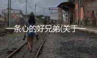 一條心的好兄弟(關于一條心的好兄弟簡述)